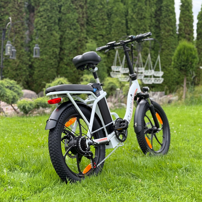 CHEEVALRY C16 Electric bikes