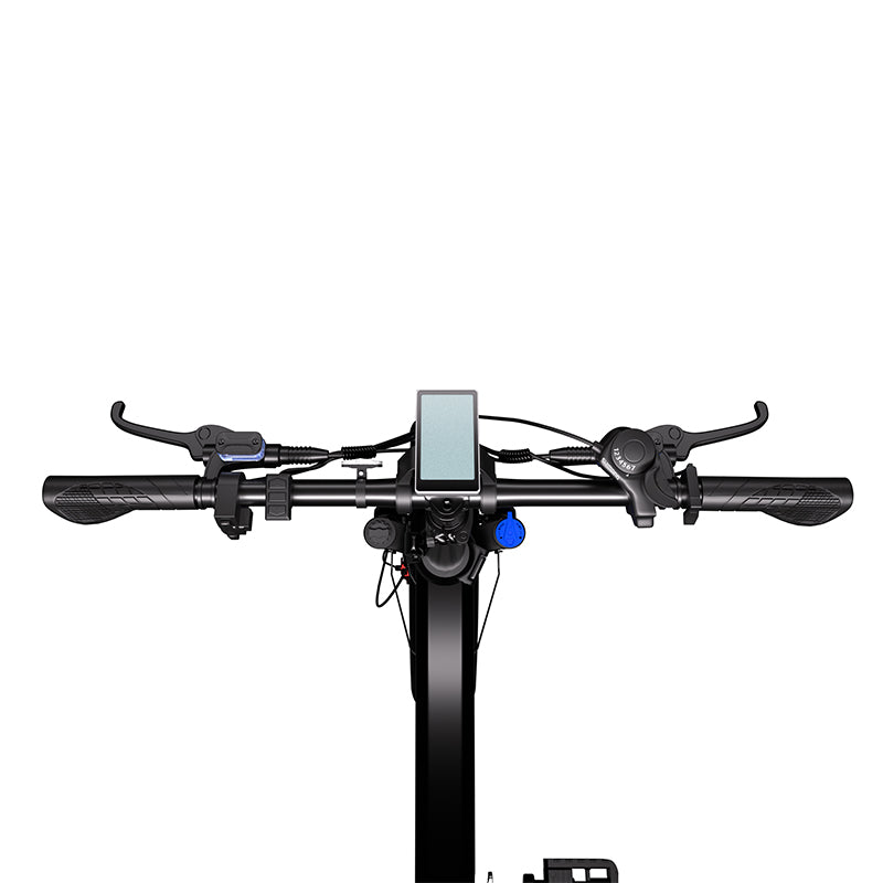 CHEEVALRY CF1000 Electric Bikes