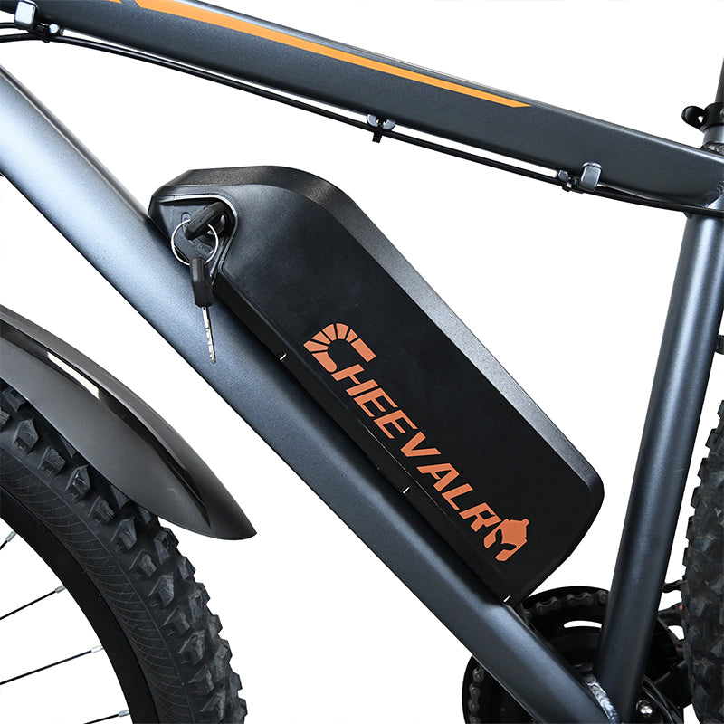 Tongsheng TSDZ2 B 48V 500W Mid Drive CHEEVALRY C29 Pro Electric Bikes