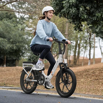 CHEEVALRY C20 Electric Bikes