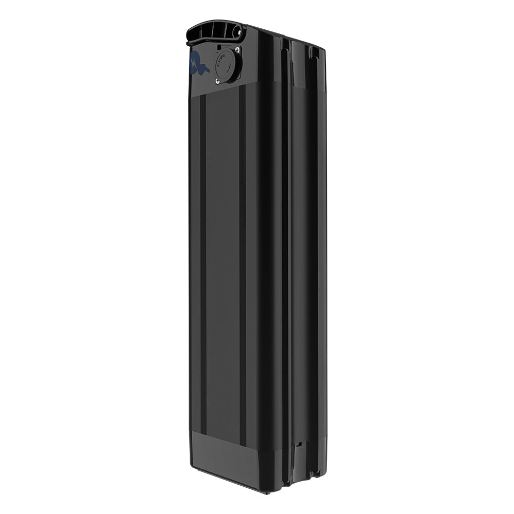 WITAMBIKE C16 Battery