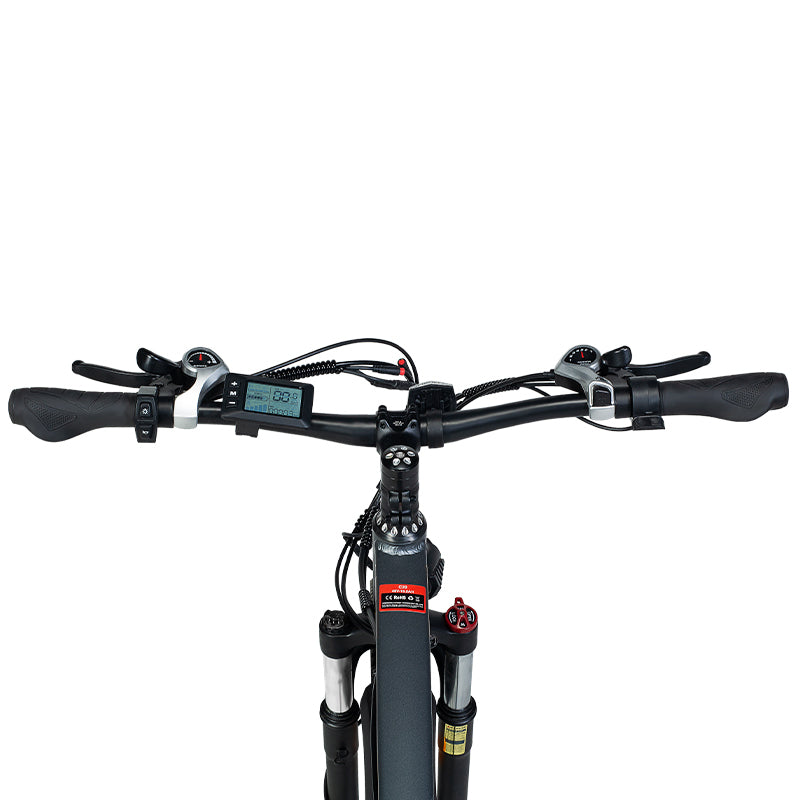 CHEEVALRY C29 Electric Bikes