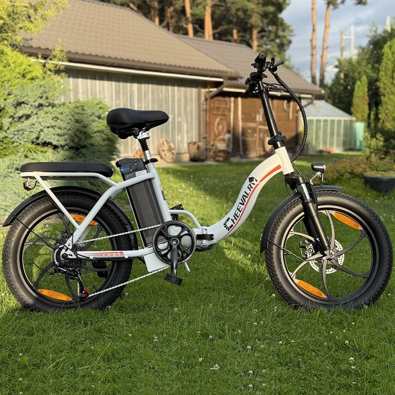 CHEEVALRY C16 Electric bikes